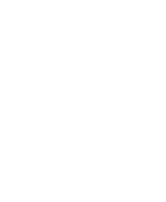 SB29 Pro